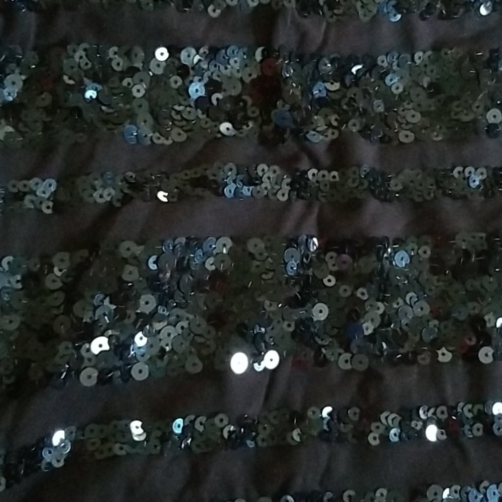 Skirt, Sequin, Express Xp View 3